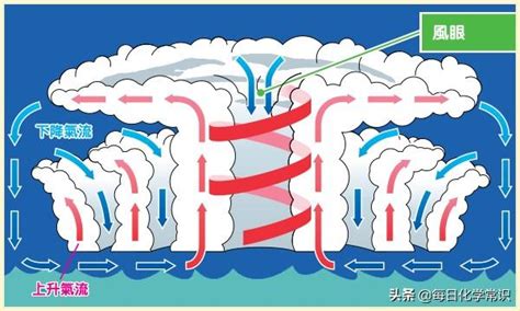 北半球颱風轉向|你知道颱風怎麼形成的嗎！？